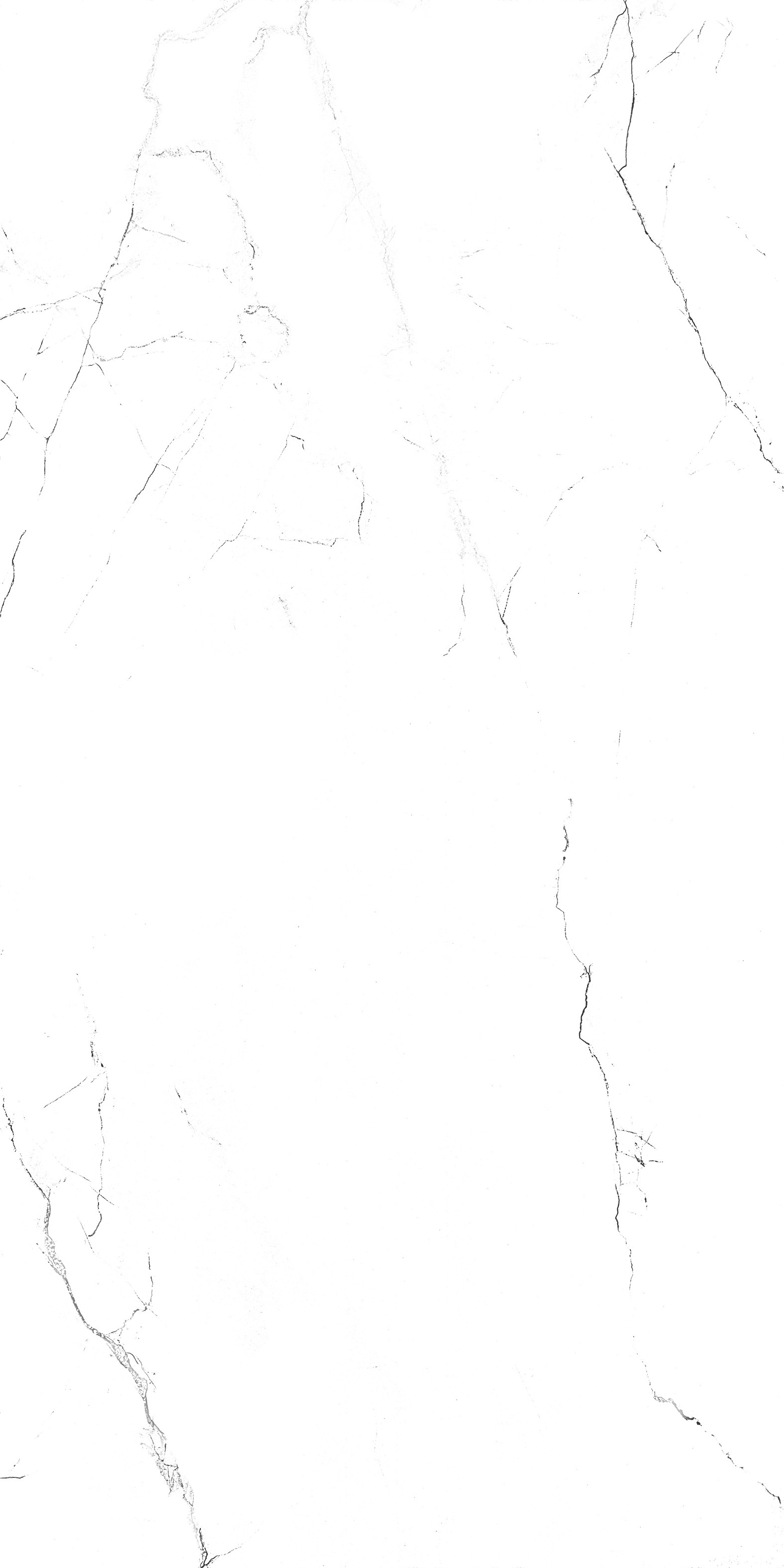 20250331191507157